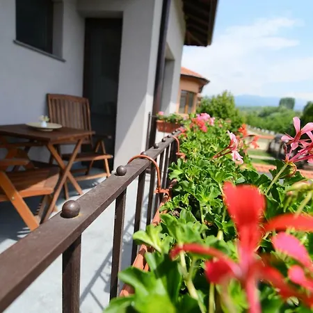 Guest house Katerina 3*